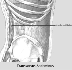 Lumbar-Stabilization-Exercises-2